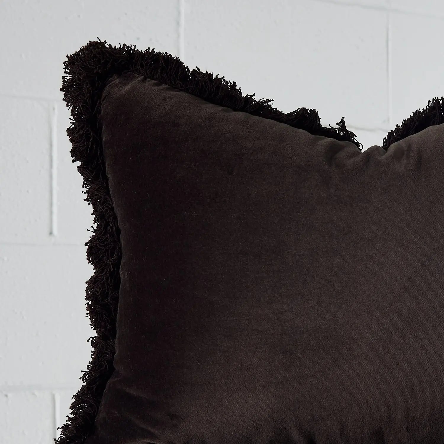 Fringed Velvet Cushion Chocolate - Cushion - Rugs a Million