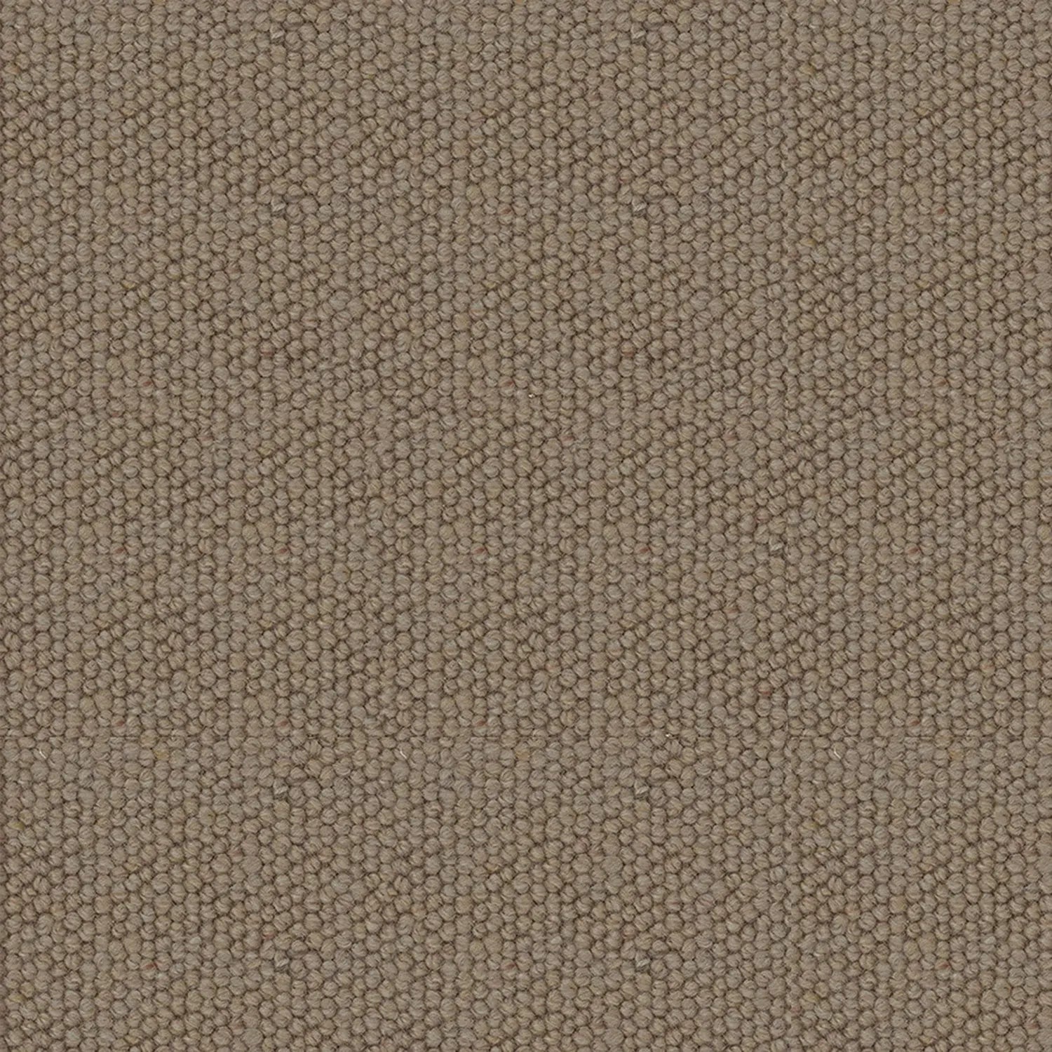 Godfrey Hirst Carramar Hycraft Wool Carpet - Carpet - Rugs a Million