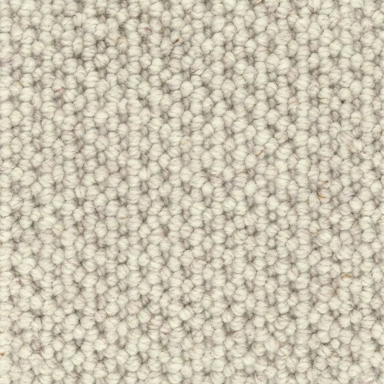 Montrose Wool Carpet - Carpet - Rugs a Million