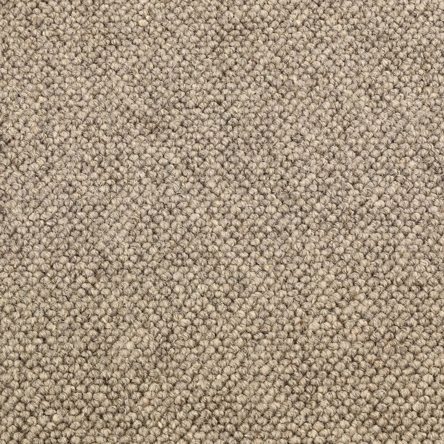 Venlo Wool Carpet - Carpet - Rugs a Million
