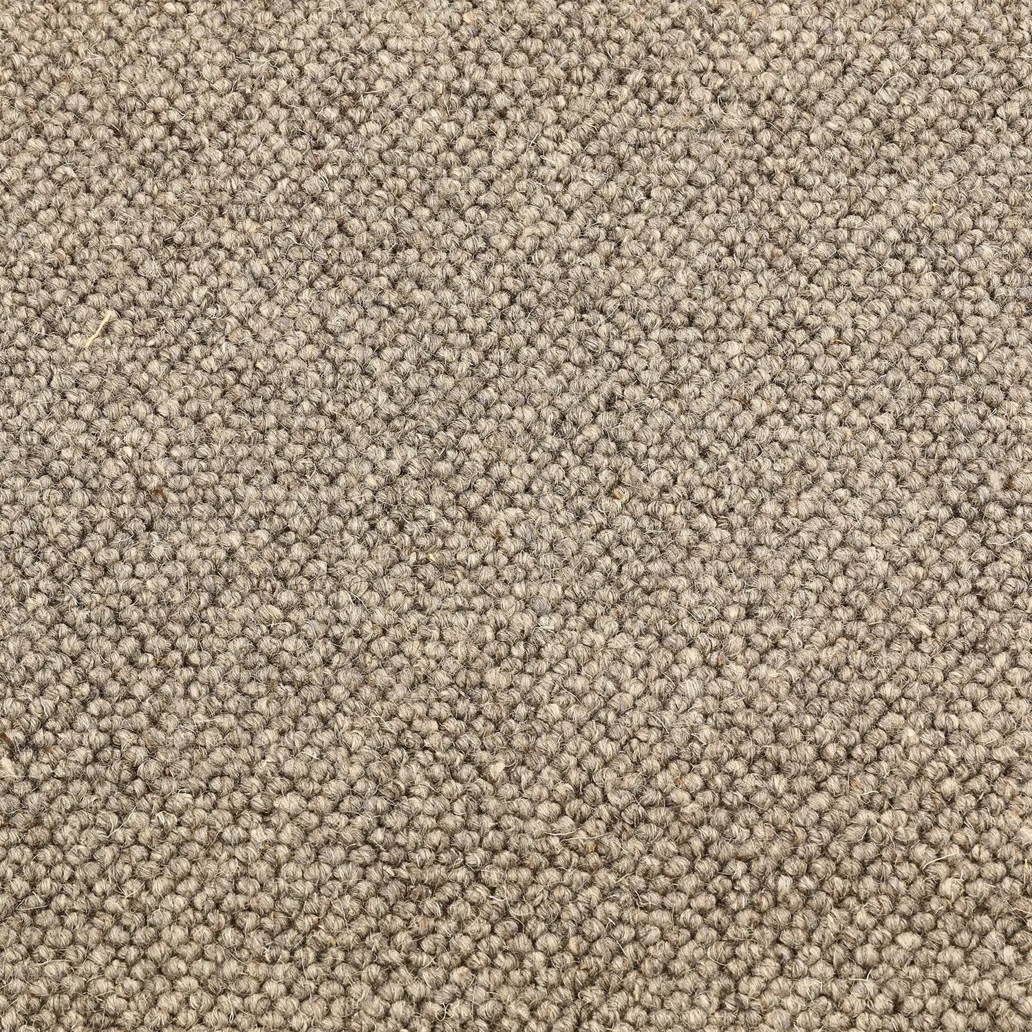 Venlo Wool Carpet - Carpet - Rugs a Million